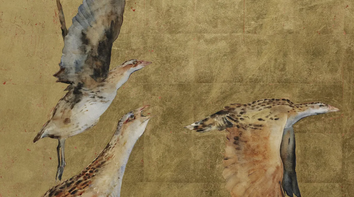 The Silent Vanishing: Documenting Avian Decline and the Power of Connection