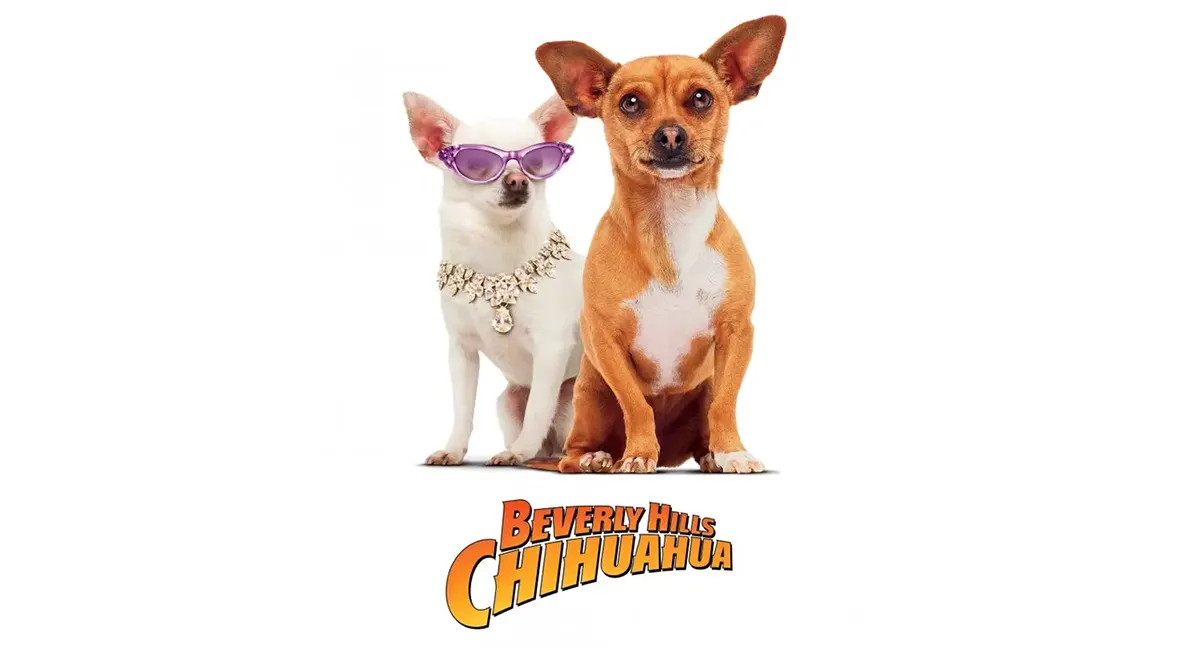 Netflix's 'Scooby-Doo Origins' Sparks Debate by Opting for a Real Puppy Over CGI