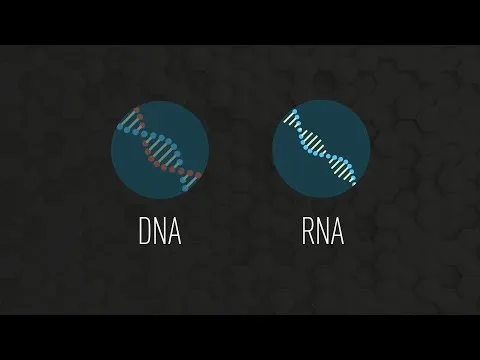 AI Designs Novel Vaccine Component Tested in Humans for Broad Coronavirus Protection