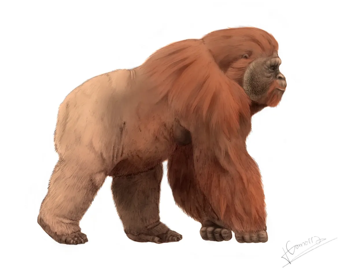 Beyond Strength: Unveiling the Planet's Most Formidable Primates