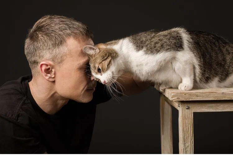 10 Essential Tips for Deepening Your Bond with Your Cat