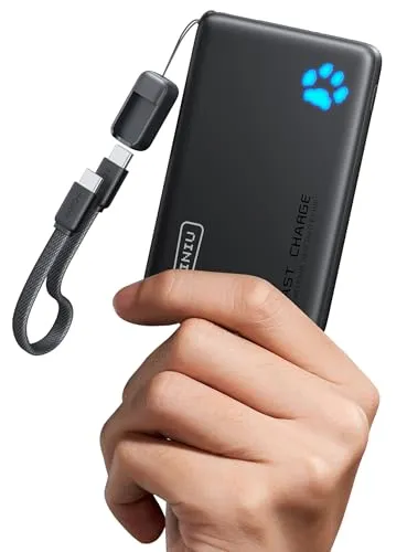 Image INIU 45W 10000mAh USB-C Power Bank
