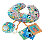 Chicco Nursing Pillow 00007946000000