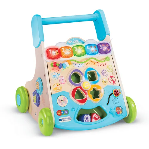 Image VTech 80-619605 Baby Walker