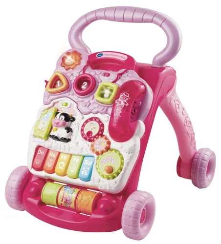 Image VTech 80-061775 Baby Walker