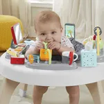 Fisher-Price 2-in-1 Baby Activity Center Like a Boss