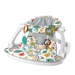 Fisher-Price HNR19 High Chair
