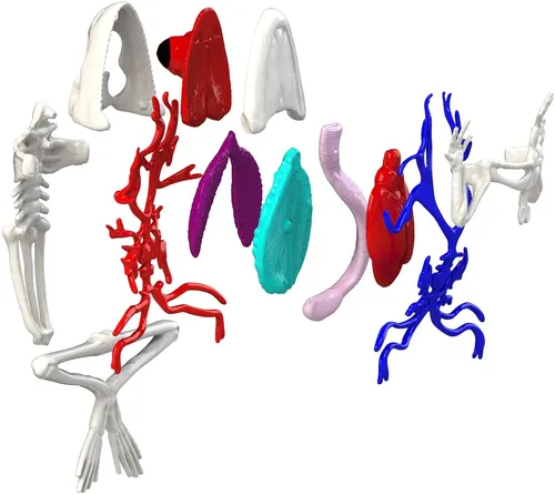 Image Silverlit 38080 Science Kit