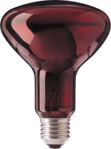 Image Philips R95 IR 100W E27 230V Red Infrared Bulb