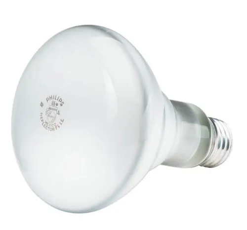 Image Philips DuraMax Incandescent Bulb