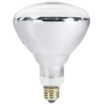 Philips Incandescent Bulb