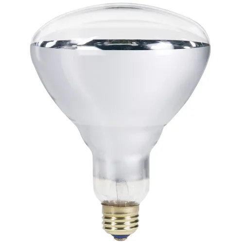 Image Philips Incandescent Bulb