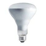 Philips Incandescent Bulb