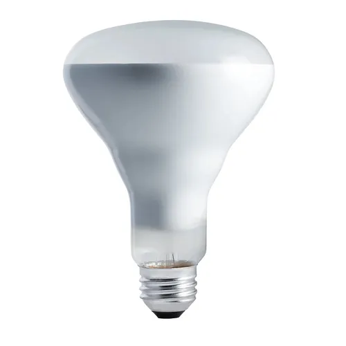 Image Philips Incandescent Bulb