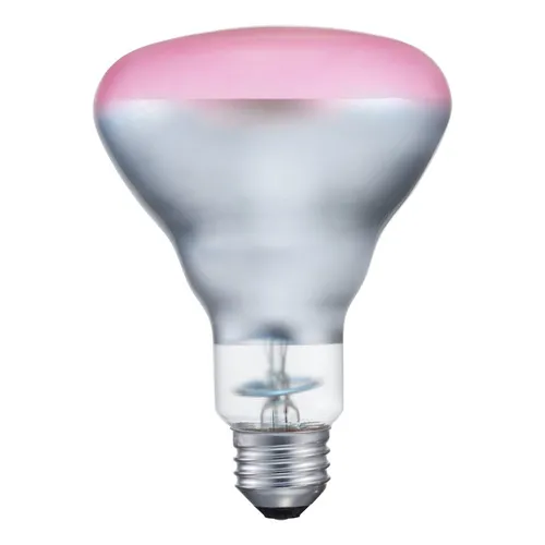 Image Philips Incandescent Bulb