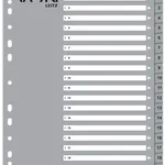 Leitz VON 12720085 Index Dividers