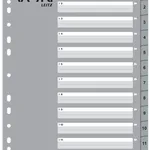 Leitz VON 12680085 Index Dividers