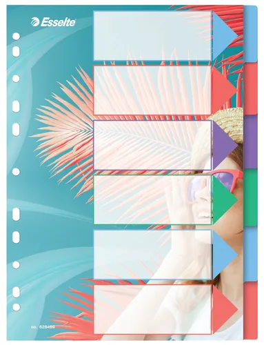 Compare Esselte Colour'Breeze A4 Index Dividers 10 Tabs with Esselte Colour'Breeze A4 Index Dividers 6 Tabs