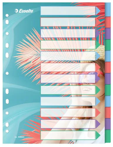 Compare Esselte Colour'Breeze A4 Index Dividers 10 Tabs with Esselte Colour'Breeze A4 Index Dividers 12 Tabs