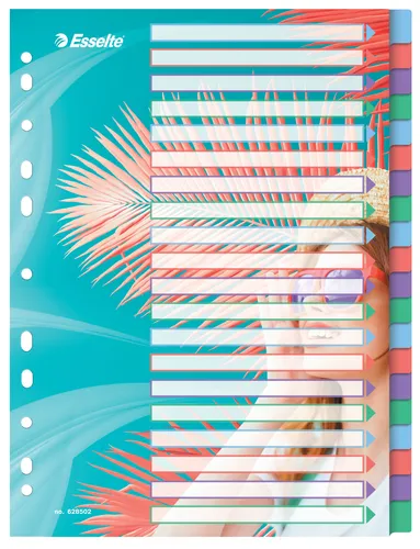 Compare Esselte Colour'Breeze A4 Index Dividers 10 Tabs with Esselte Colour'Breeze A4 Index Dividers 20 Tabs