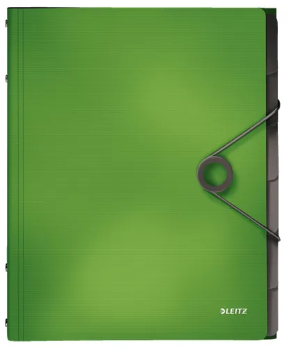 Esselte File Divider 45691050