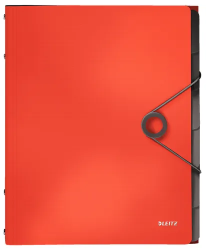 Image Esselte File Divider 45691020
