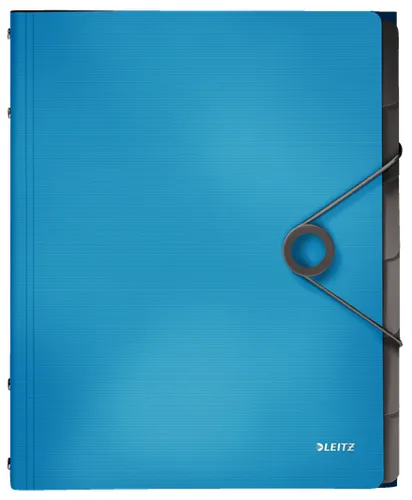 Esselte File Divider 45691030