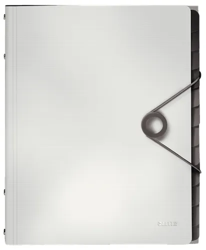 Esselte File Divider 45701001
