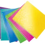 Leitz 46380099 Notebook