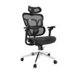 Equip Premium Ergonomic Office Chair with Headrest and Armrests