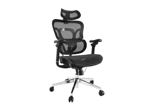 Image Equip Premium Ergonomic Office Chair with Headrest and Armrests