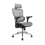 Equip Premium Ergonomic Office Chair with Headrest and Armrests