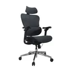 Equip Premium Ergonomic Office Chair with Headrest and Armrests