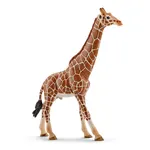 Schleich WILD LIFE Giraffe Figure