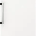 Gorenje R619DAW6 Freestanding Larder Fridge - White
