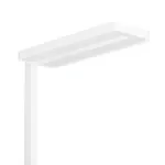 Philips FS484F Floor Lamp
