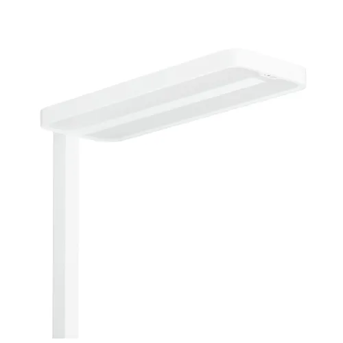 Compare Philips FS484F Floor Lamp with Philips FS484F Floor Lamp