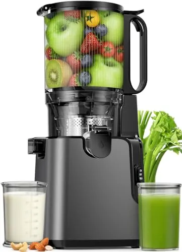 Image YPONE 5.8" Cold Press Masticating Juicer Gray