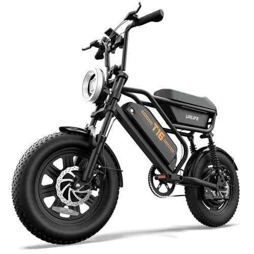 Image URLIFE 750W 16" Fat Tire Electric Dirt Bike